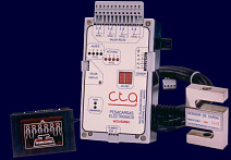 Pesacargas electr�nico
